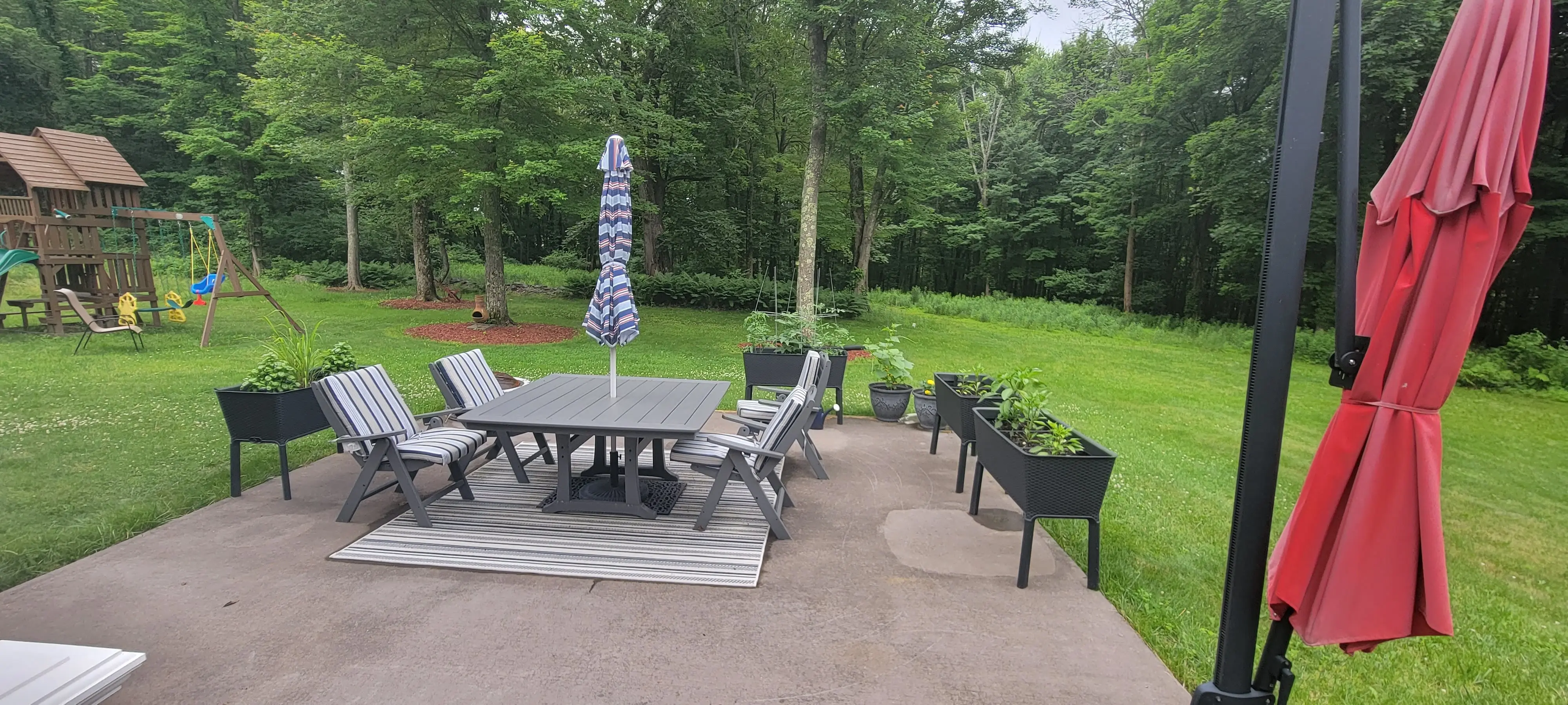 Image My Roots/20220616_170845.webp